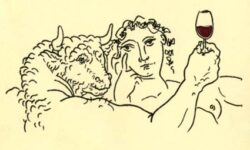 POR SAN MARTÍN EL MOSTO SE CONVIERTE EN VINO (El mito)