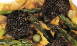 CAPPELLETTI O TORTELLINI CON PUNTA D’ASPARAGI (tortellini o cappelletti con puntas de espárragos)