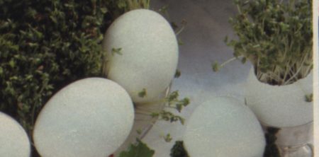 UOVO SODO (HUEVO COCIDO)