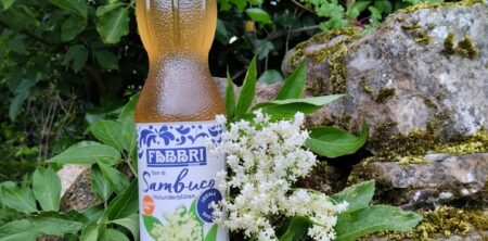 SCIROPPO DI FIORI DI SAMBUCO (JARABE DE FLORES DE SAÚCO)