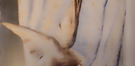 LA PASQUA (LA PASCUA)