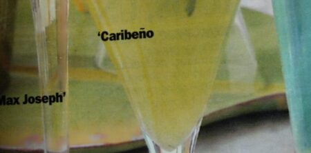 COCKTAIL CARIBEÑO (CÓCTEL CARIBEÑO)